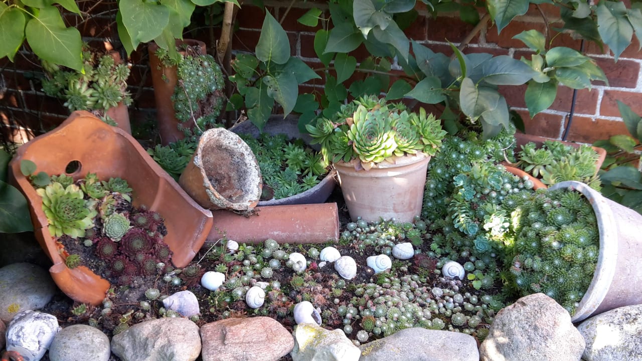 Steingartenstauden Ferienhof Albert