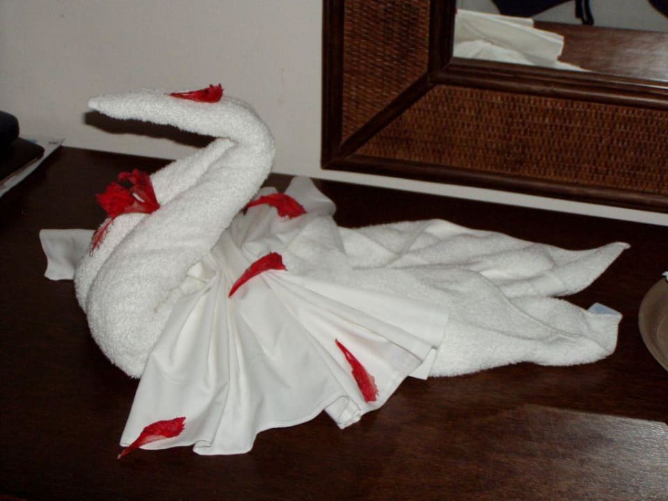 Handtuchschwan Royalton Splash Punta Cana