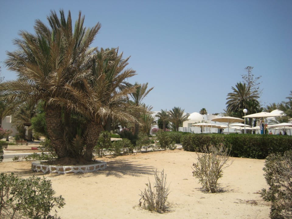 Gartenanlage  Hotel El Mouradi Djerba Menzel