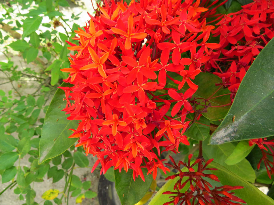 Gartenanlage Sol Rio De Luna y Mares