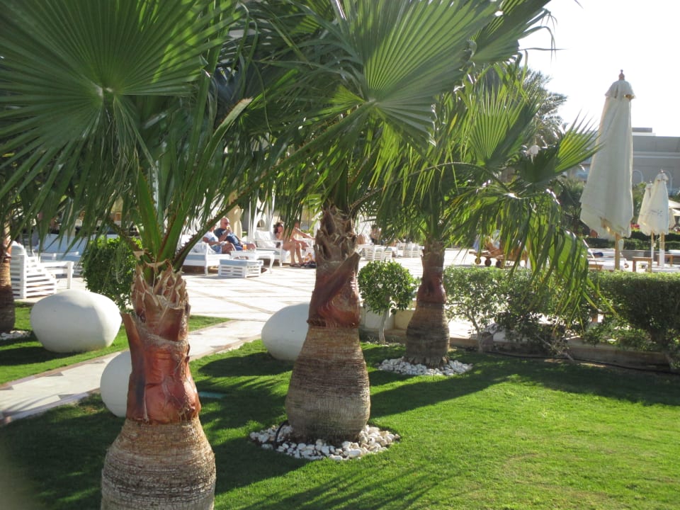 Garden Premier Le Reve Hotel & Spa