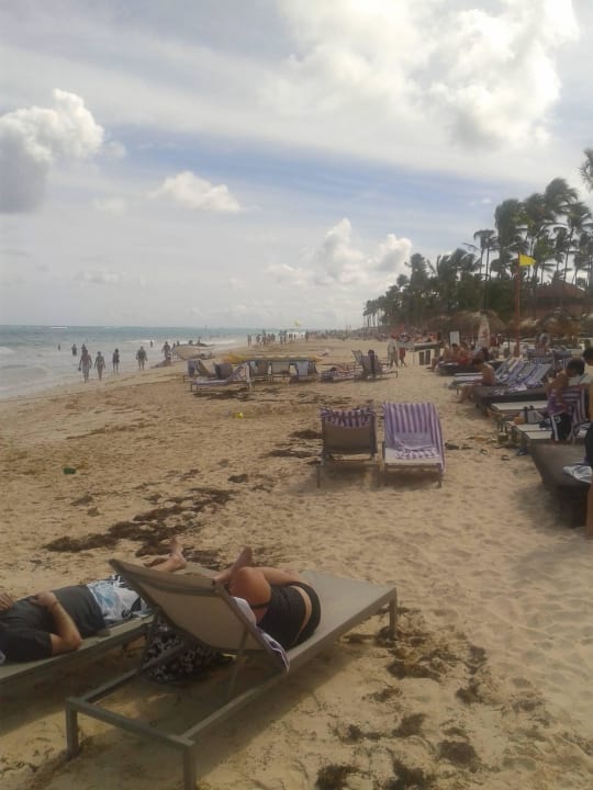 Traumstrand? Paradisus Punta Cana Resort (Im Umbau/Renovierung)