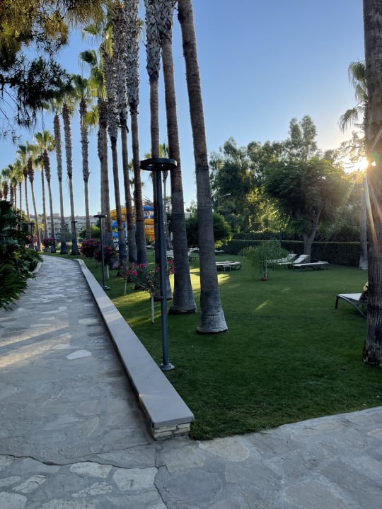 Gartenanlage Arum Barut Collection