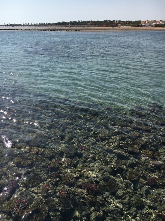 Strand Cleopatra Luxury Resort Makadi Bay