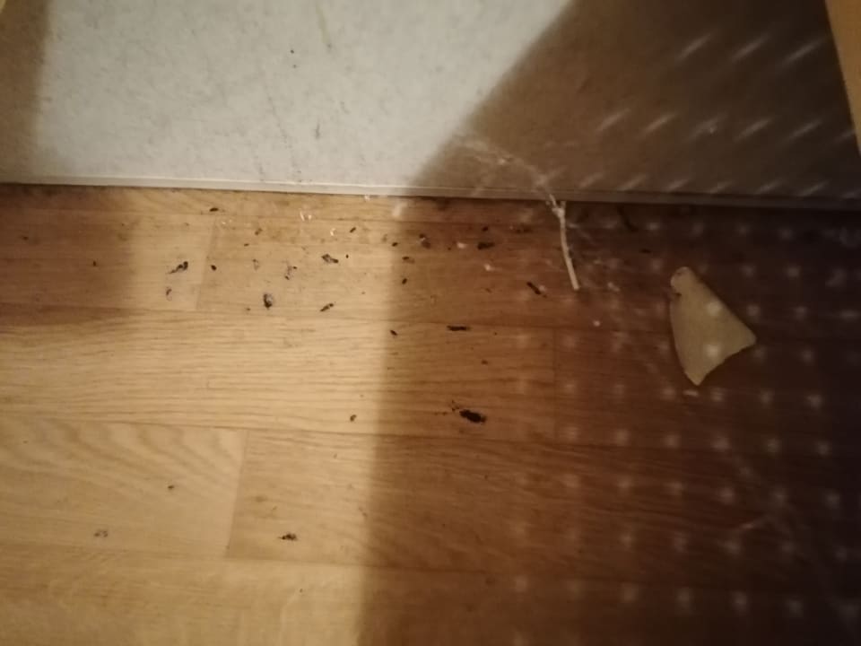 Zimmer Oostappen Vakantiepark Prinsenmeer