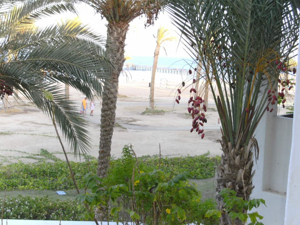Blick vom Zimmer zum Strand Pickalbatros Sands Hotel - Port Ghalib