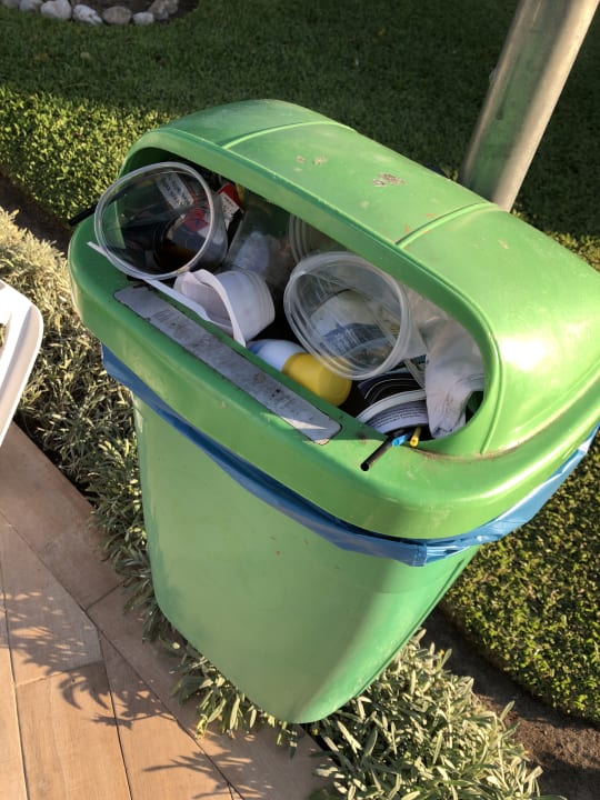 Gartenanlage Alcudia Garden Aparthotel