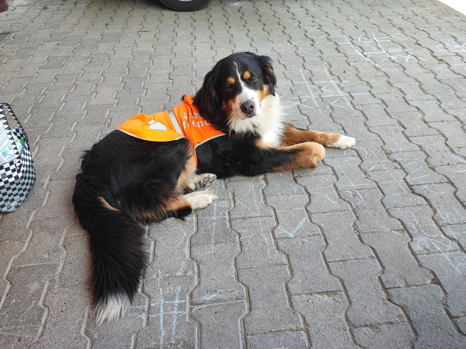 Sonstiges Ferienhof Schmid