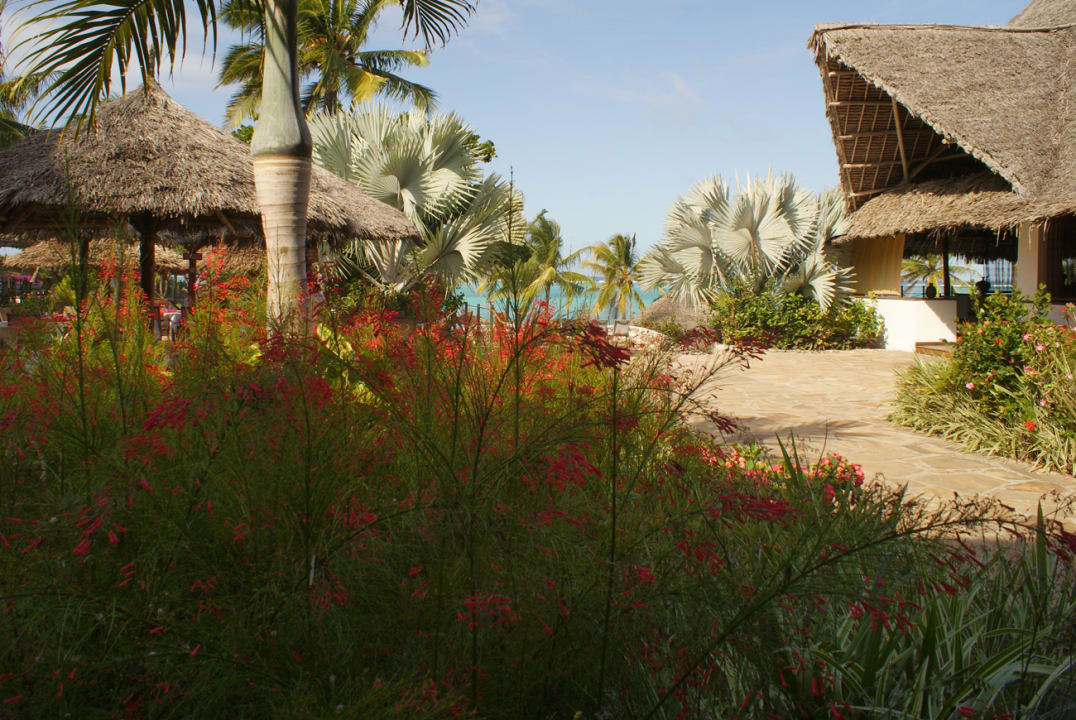 Gartenanlage Karafuu Beach Resort & Spa