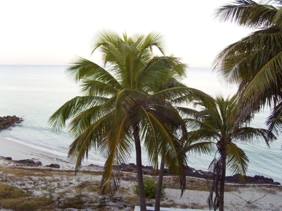 Traumhafte Ausblick vom Balkon aus Hotel Tucan Siho Playa