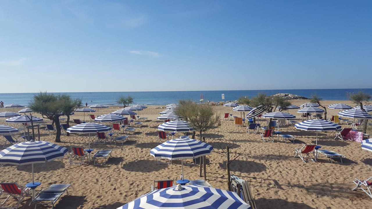 Strand mit kostenfreien Liegen Hotel Fenix