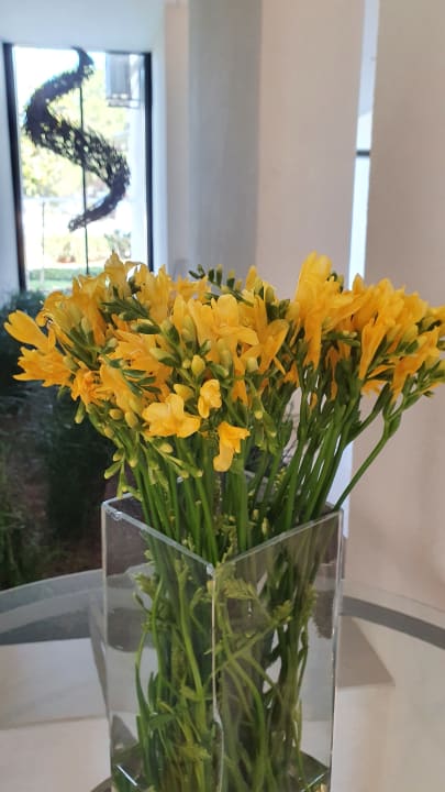 Sonstiges Hotel Sipar Plava Laguna