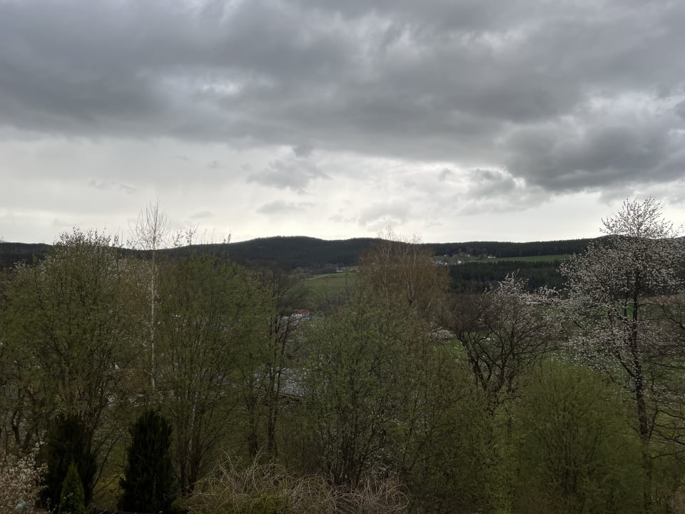 Ausblick Spirit & SPA Hotel Birkenhof am Elfenhain