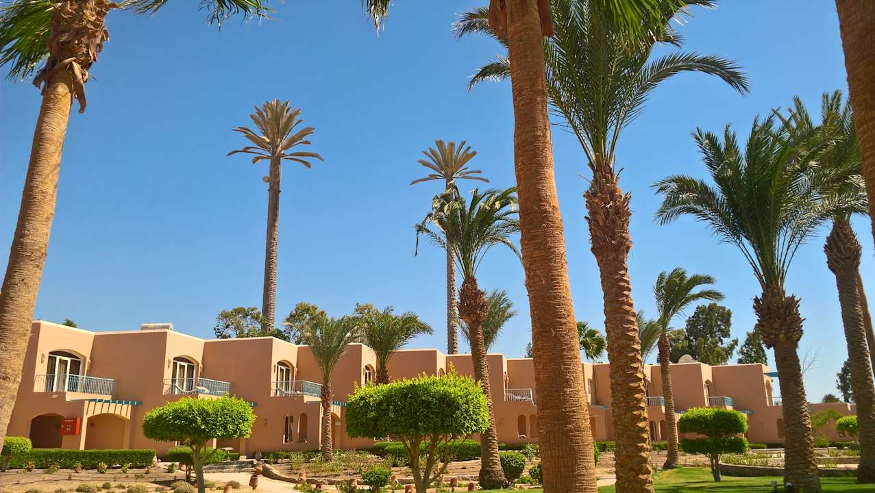 Gartenanlage Club Paradisio El Gouna, Red Sea