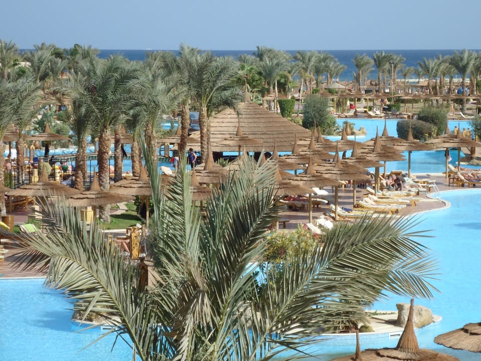 Von der Terrasse bis zum Meer Pickalbatros Palace Resort