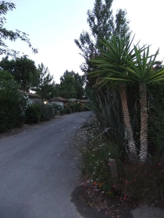 Gartenanlage Yelloh Les Secrets De Camargue