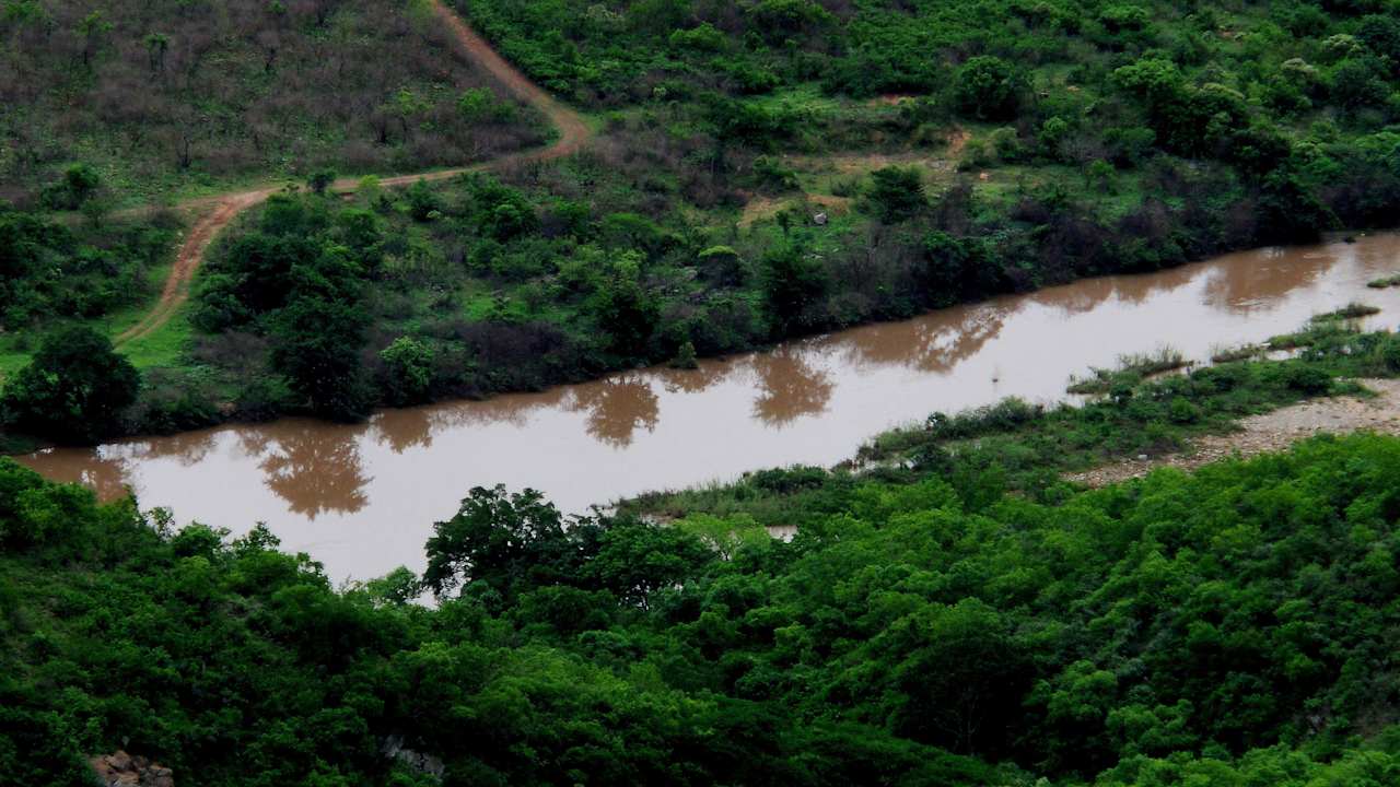 Auf der Pirsch (Phongolo River) Ntshondwe Camp