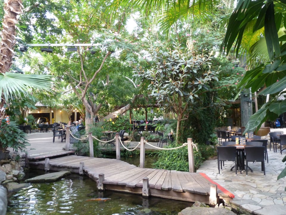 Marketdome Center Parcs De Kempervennen