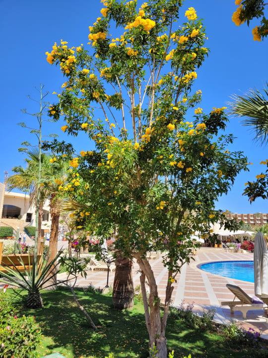 Gartenanlage Brayka Bay Resort