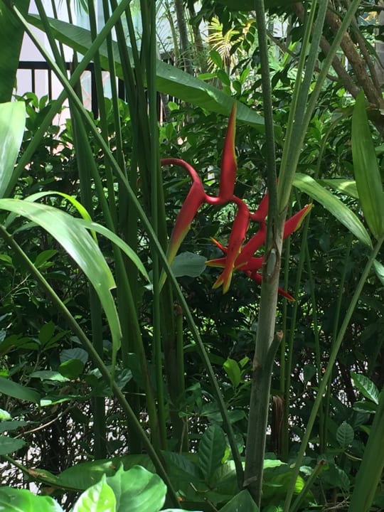 Gartenanlage Laksasubha Hua Hin