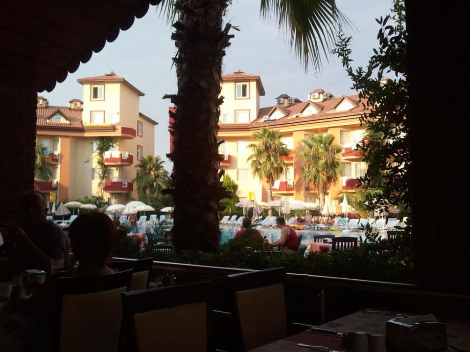 Blick in den Pool/Garten Hotel Orfeus Park