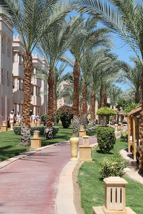 Территория отеля Pickalbatros Palace Resort
