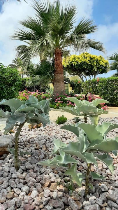 Gartenanlage Anissa Beach & Village