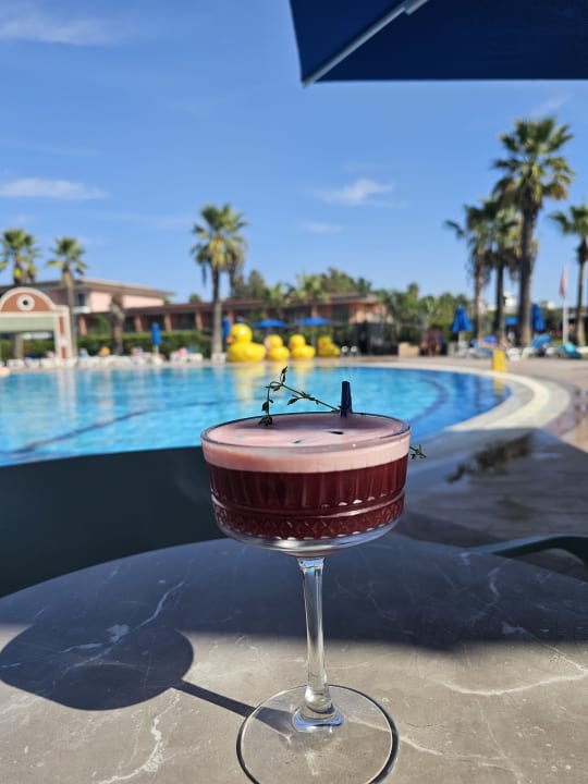 Pool Megasaray Club Belek