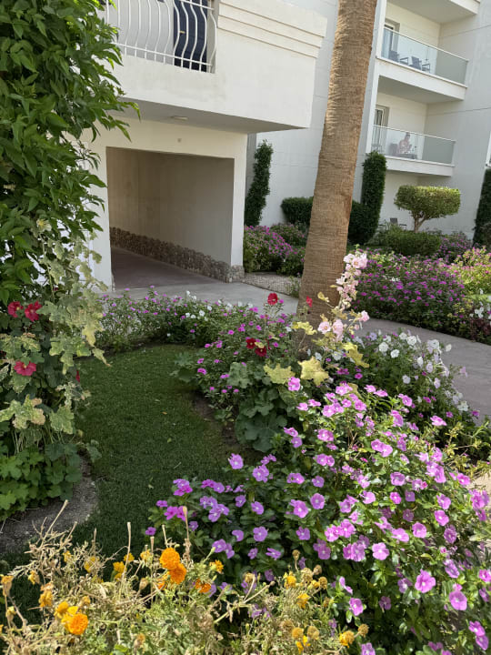 Gartenanlage Amarina Abu Soma Resort & Aquapark