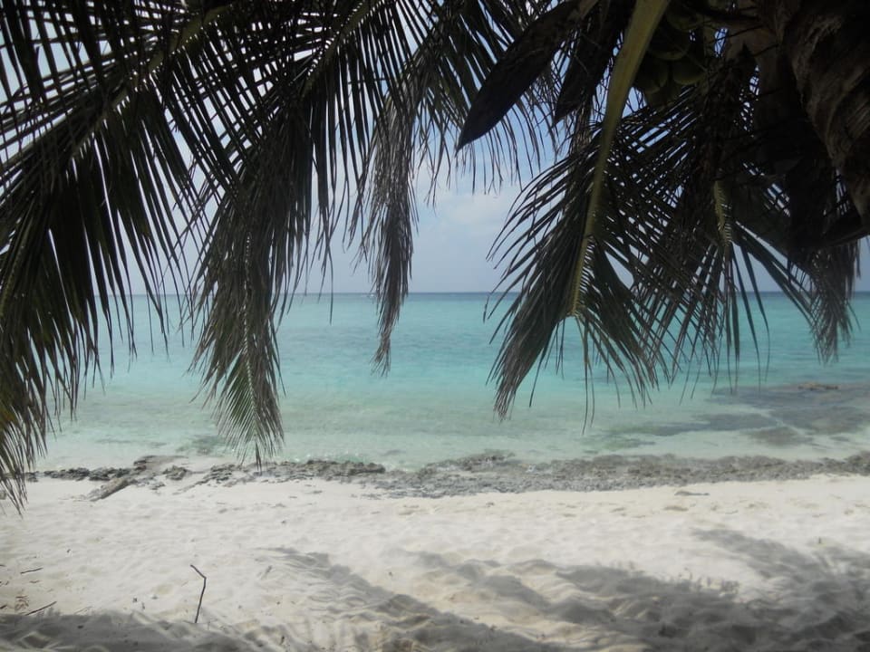 Beim Insel umrunden.. ca. bei Bungi 66 Summer Island Maldives