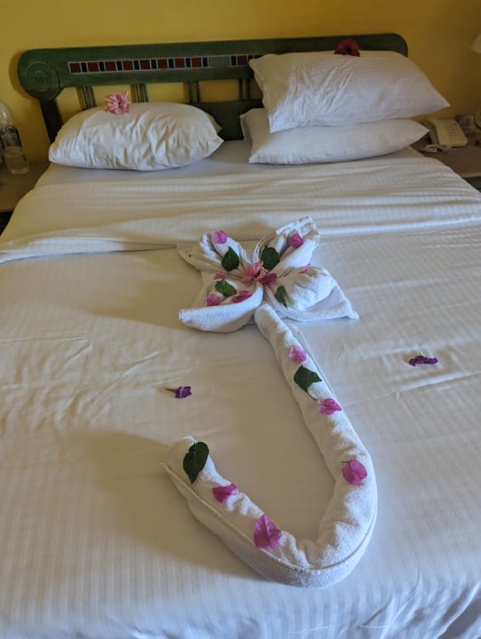 Zimmer Giftun Azur Resort