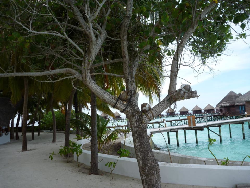 Steg zu den Wasserbungalows Thulhagiri Island Resort