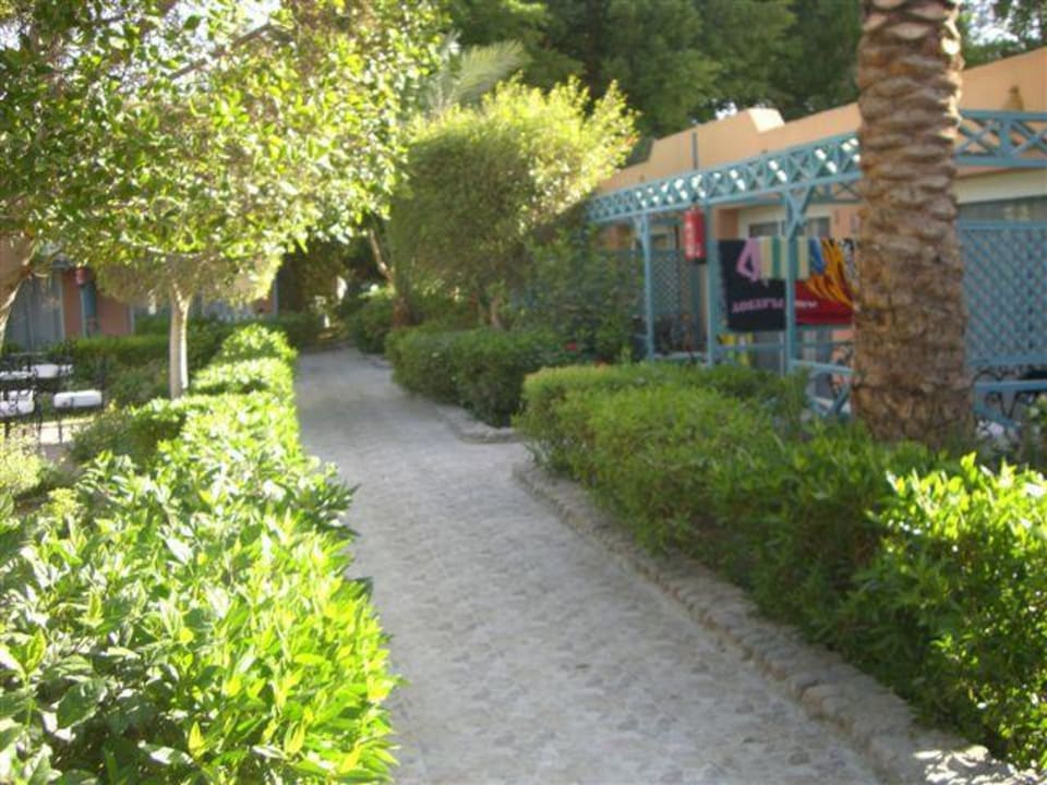 Weg vor den Bungalows Giftun Azur Resort