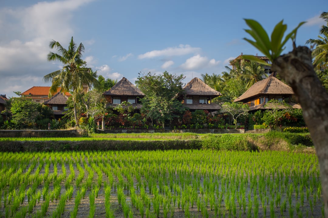 Außenansicht Agung Raka Resort & Villas