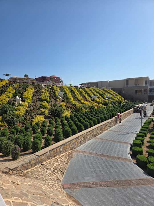 Ausblick Pickalbatros Vita Resort - Portofino Marsa Alam