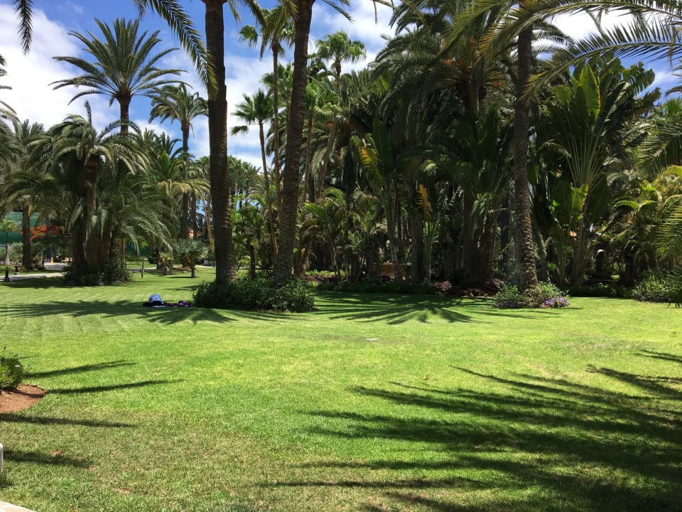 Gartenanlage Hotel Riu Palace Oasis