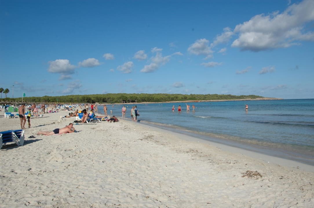 Wunderschöner Strand Hipotels Mediterraneo Club