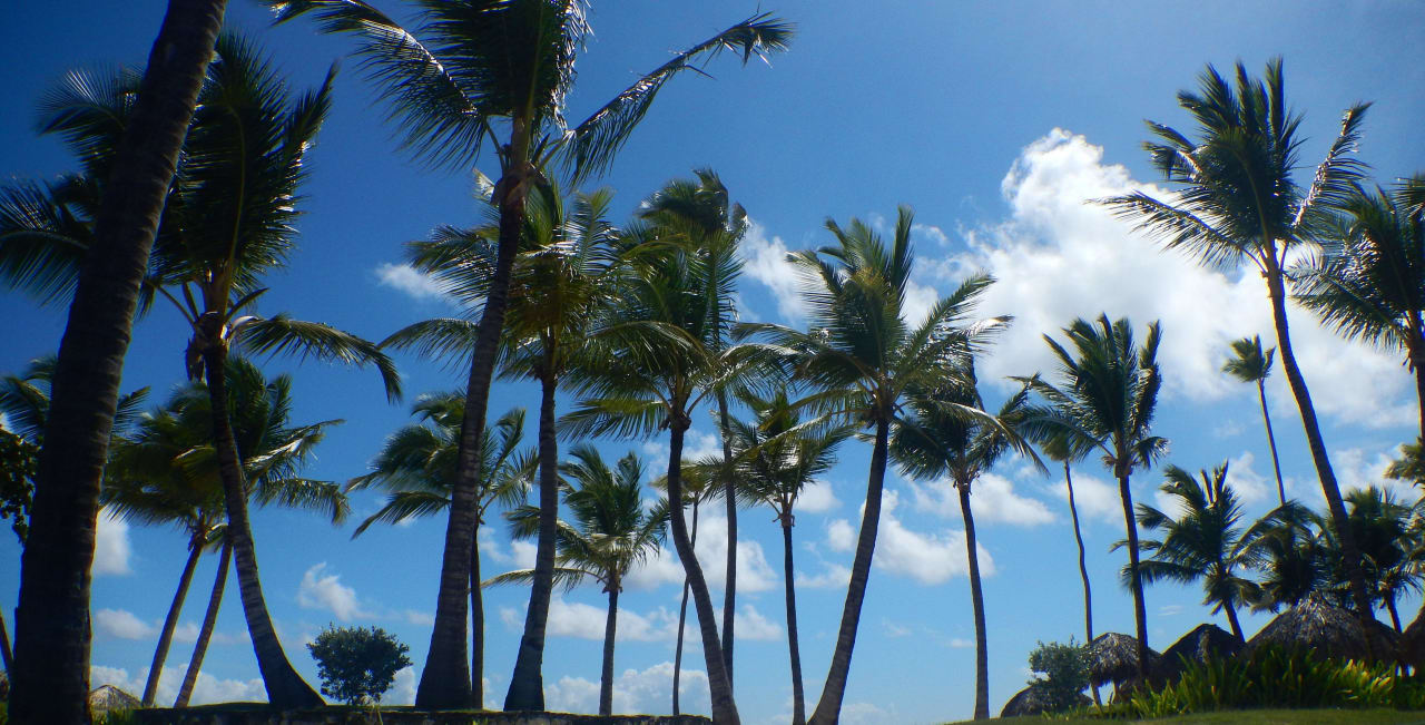 Blick aus dem Pool in Richtung Strand JOIA Bávaro by Iberostar