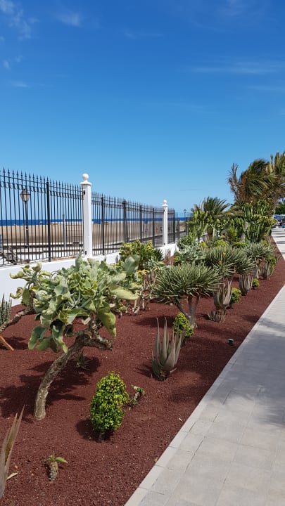 Gartenanlage Hotel Las Costas