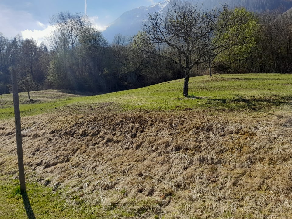 Gartenanlage Aktiv Panoramahotel Daniel