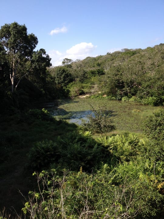 Wasserloch  Shimba Hills Lodge