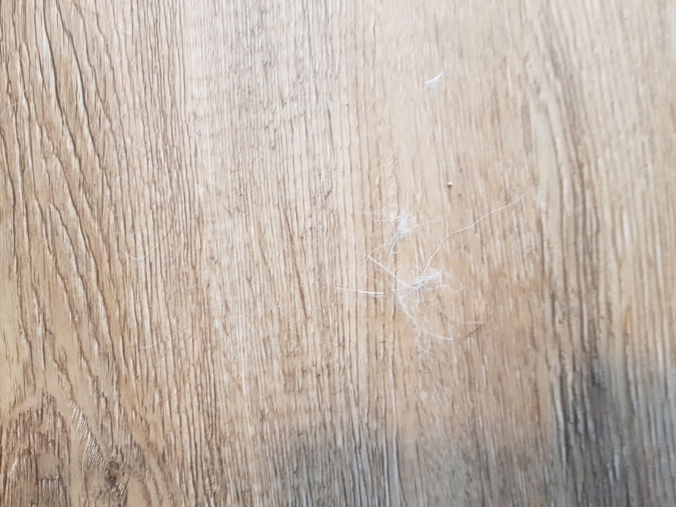 Zimmer Center Parcs Park Allgäu