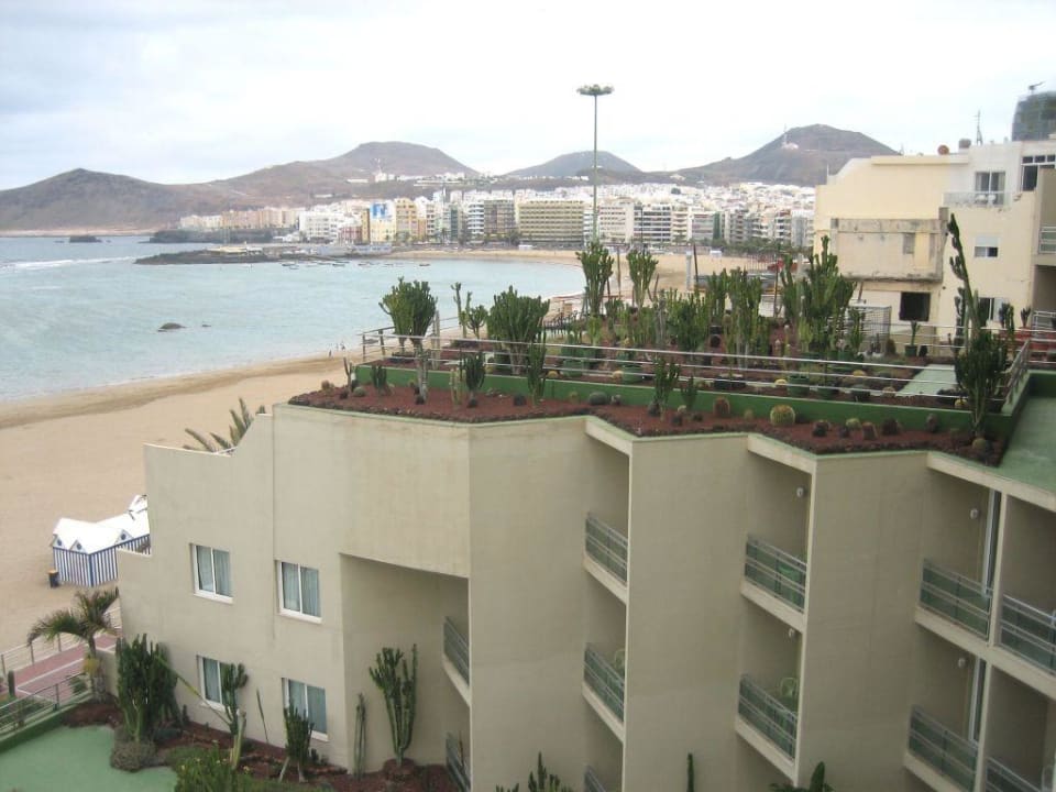 Reina Isabel Bull Reina Isabel & Spa