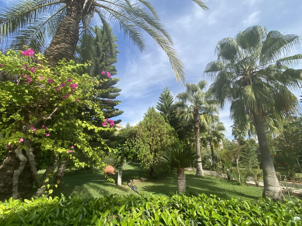 Gartenanlage Saphir Resort & Spa