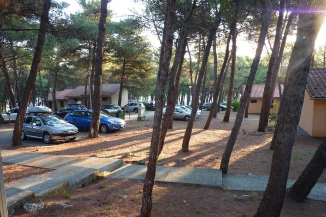 Hotel Kanegra Apartments Kanegra Plava Laguna