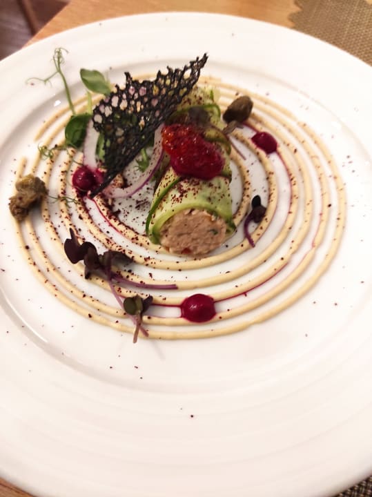Gastro Acanthus Cennet Barut Collection