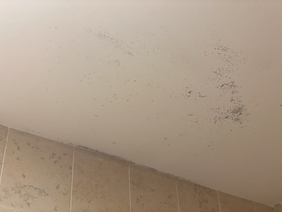 Zimmer Zafiro Mallorca