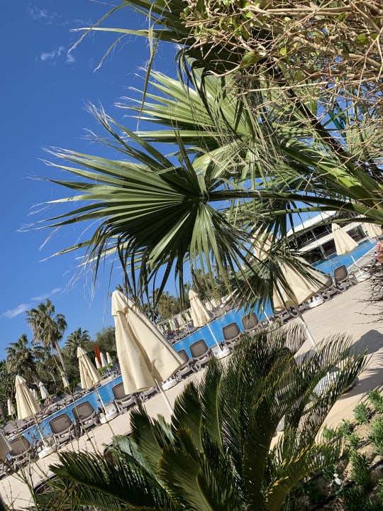 Ausblick VONRESORT Golden Coast