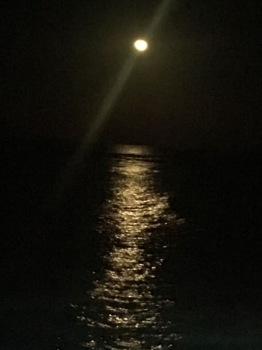 Ausblick Mövenpick Resort El Quseir