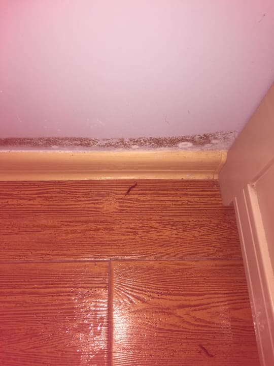 Zimmer HVD Clubhotel Miramar